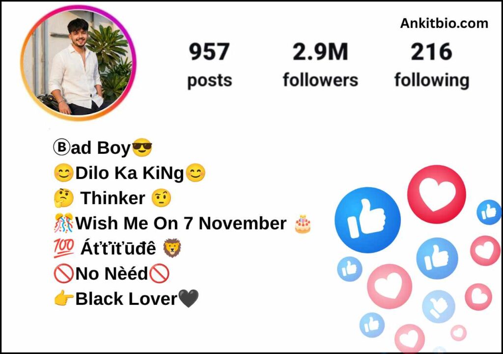 Instagram bio for boys