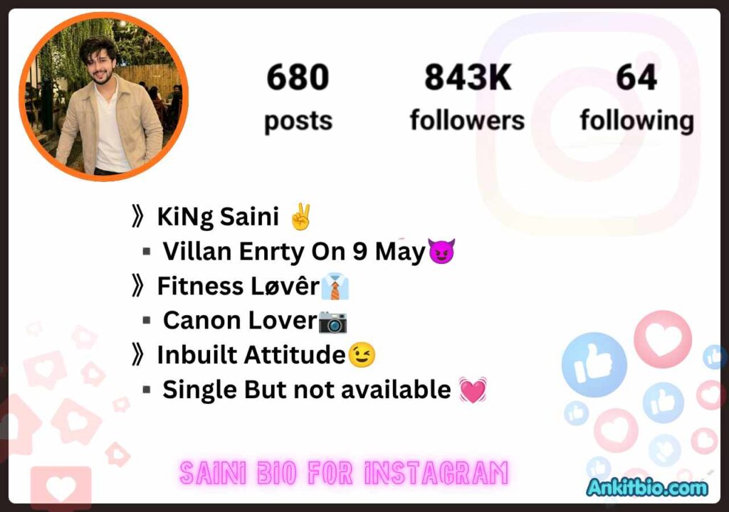 Saini bio for instagram