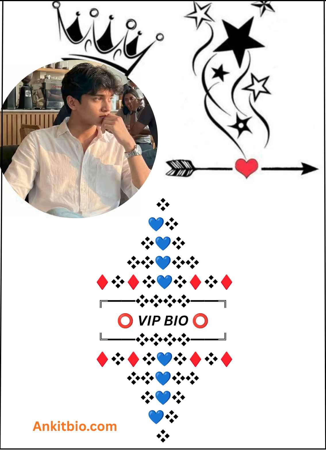 Facebook VIP Bio text copy